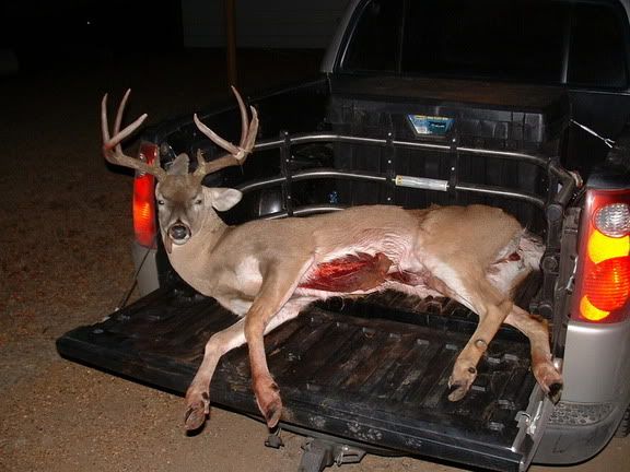 kaseydeer405.jpg