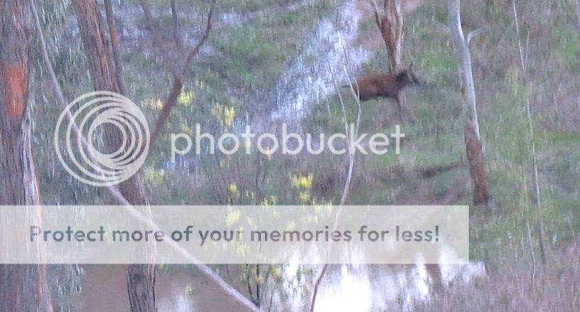 vidshot2.jpg~original