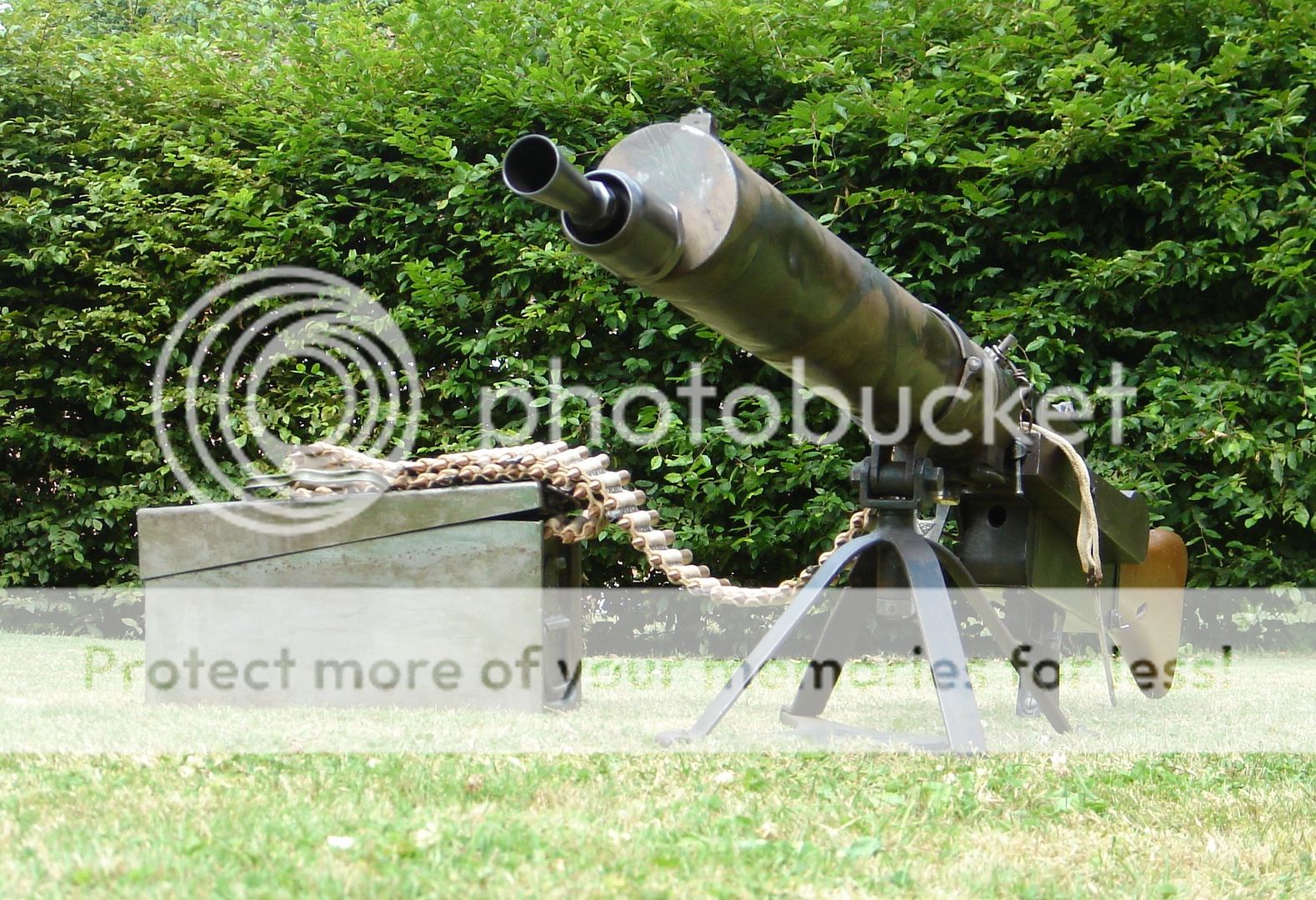 DSC01491_zpsx9ltnidw.jpg