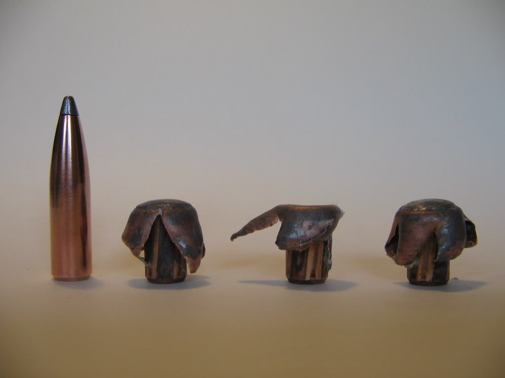 Nosler125gr-PT.jpg