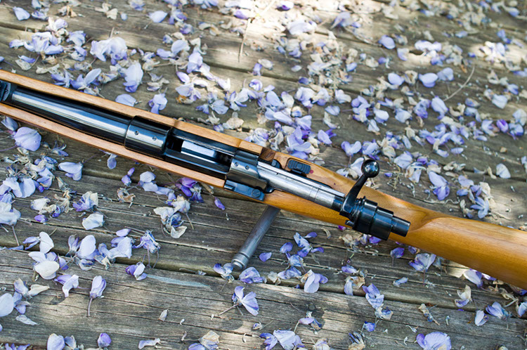CZ-vs-ZV50.jpg