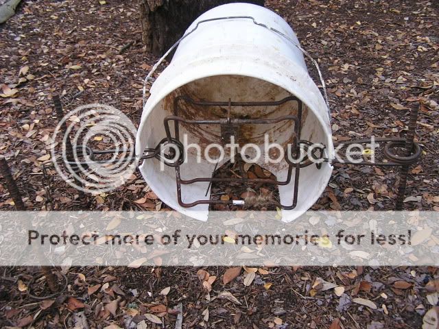 ConibearCubby.jpg