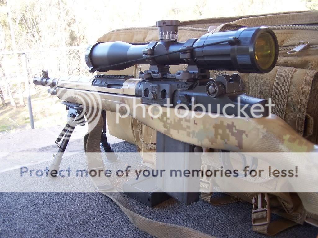 m14.jpg
