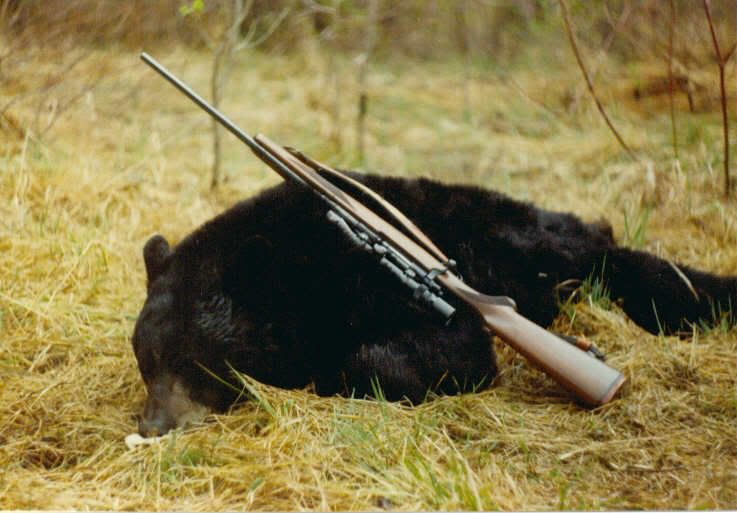 bearhunt.jpg