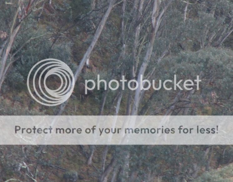 IMG_5547.jpg~original