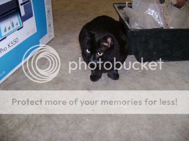 DSC00311.jpg