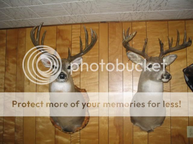 117_1768.jpg