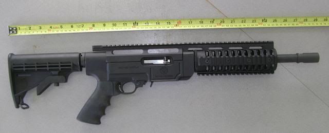 SR_12in_01.jpg