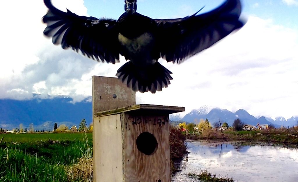 SUNP0353_zpsvf2tvobx.jpg~original