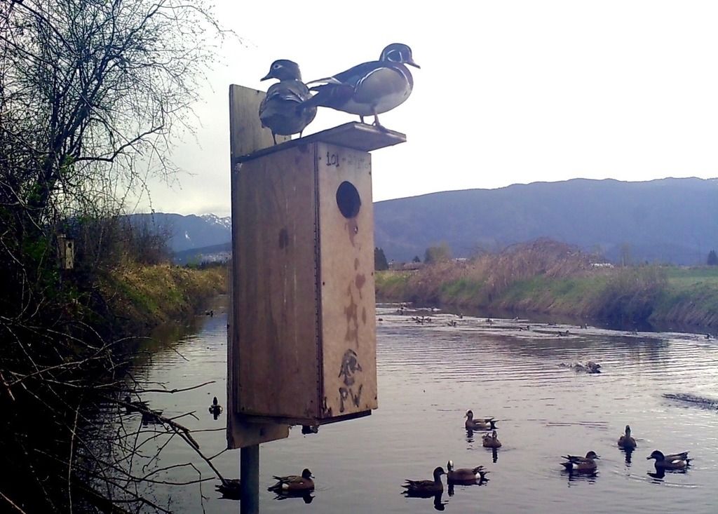 image_zpszjsgjqax.jpeg~original