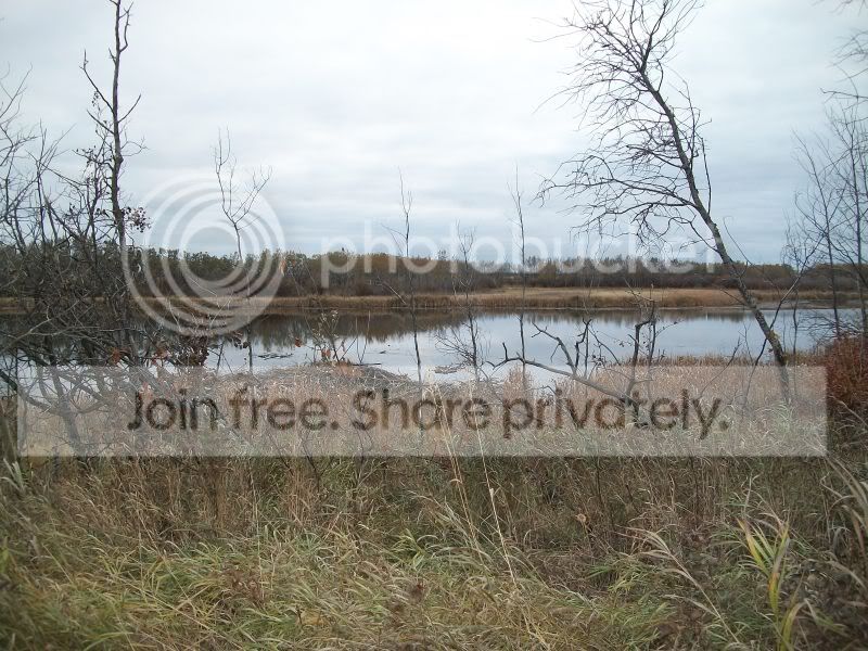 Wildlifelandax.jpg