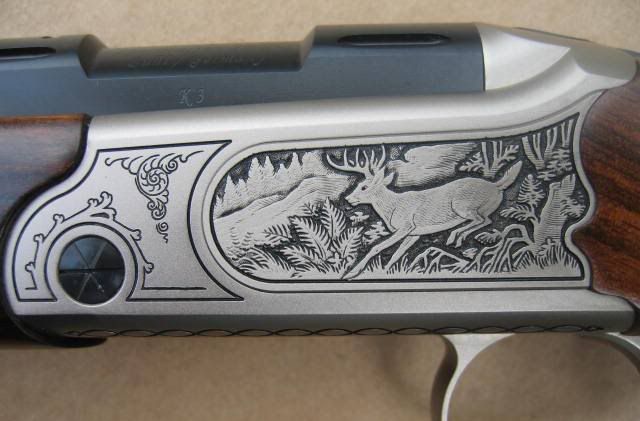 K3308008.jpg