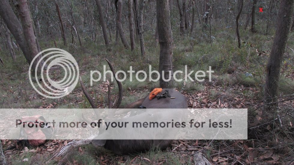 IMG_5822scene.jpg~original