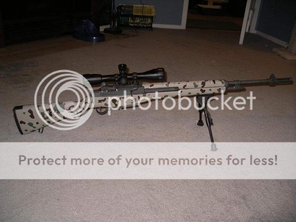 m14.jpg