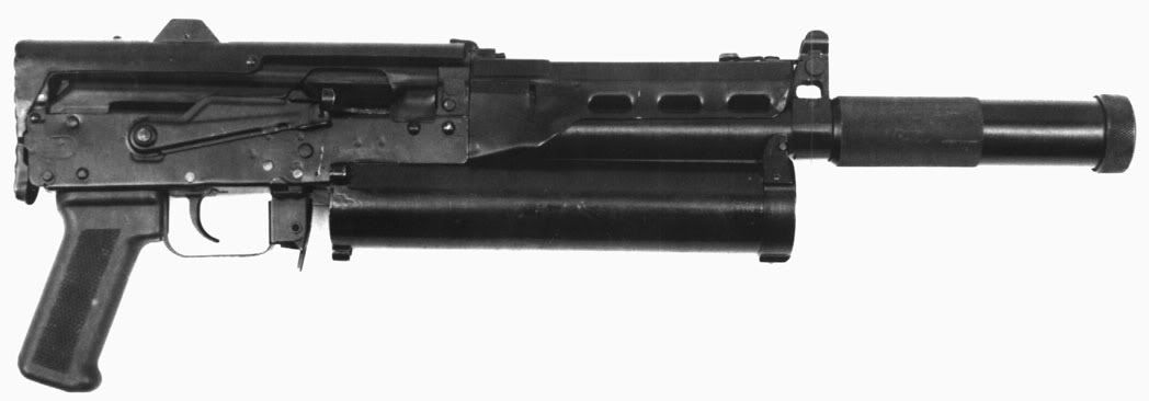 bizon-3.jpg