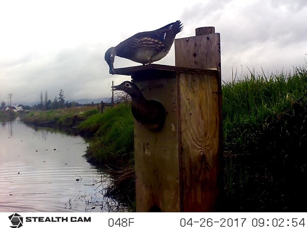 image_zps0fqztuni.jpeg~original