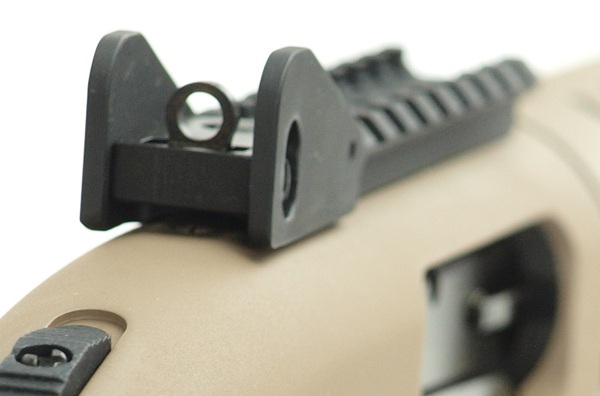 20FDEwithRailSight3w.jpg