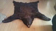 Bear4.jpg