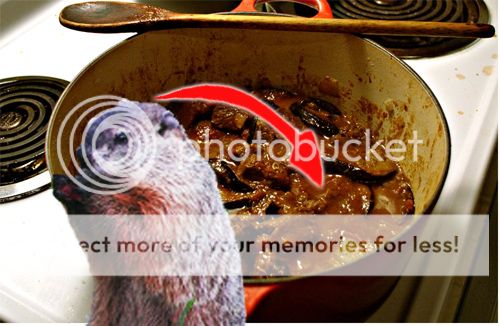 groundhog_in_stew_zps01cb0393.jpg