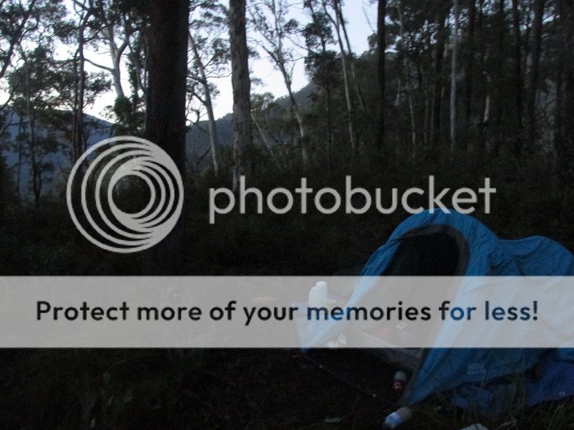 IMG_3310congocamp.jpg~original