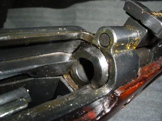 IMGP0248.jpg