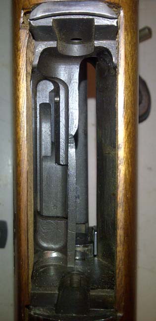 underside.jpg