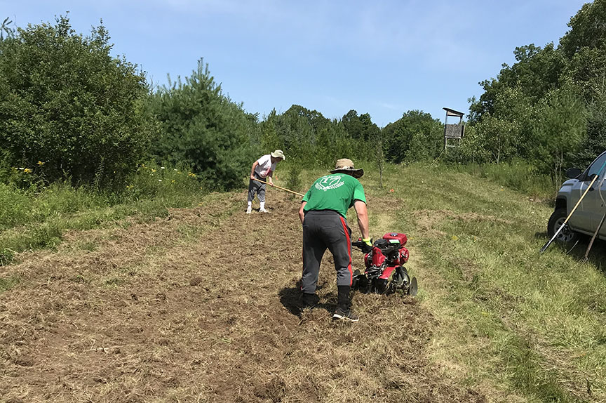 food-plot-pines-tilling-lr.jpg