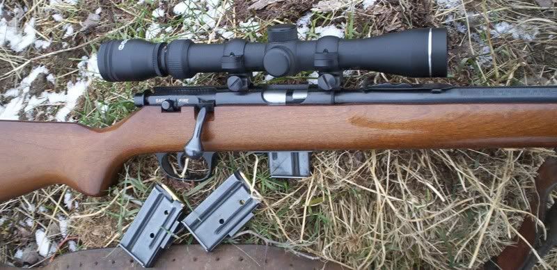 Marlin3.jpg