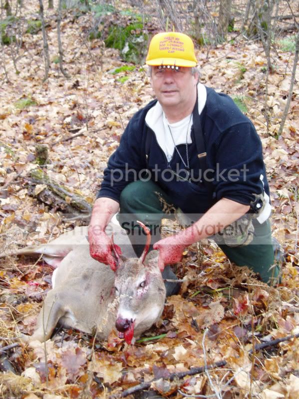 Regs-Deer-1.jpg