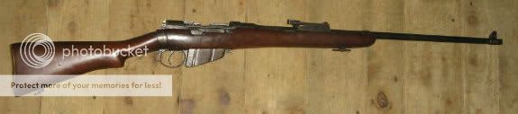 bubba1.jpg