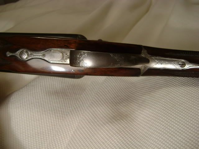 DSC01275.jpg