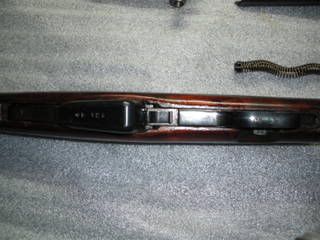 IMGP0227.jpg