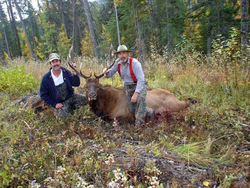 2008Elk-1.jpg