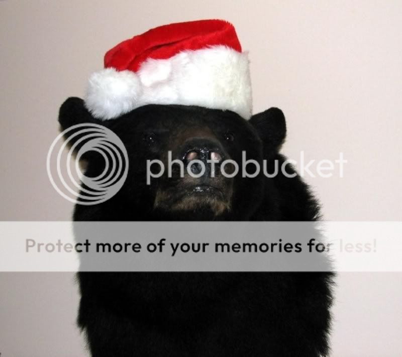 Christmas_bear2.jpg