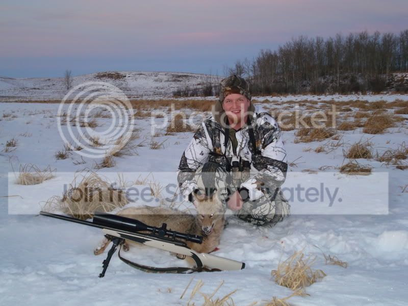 coyote001.jpg