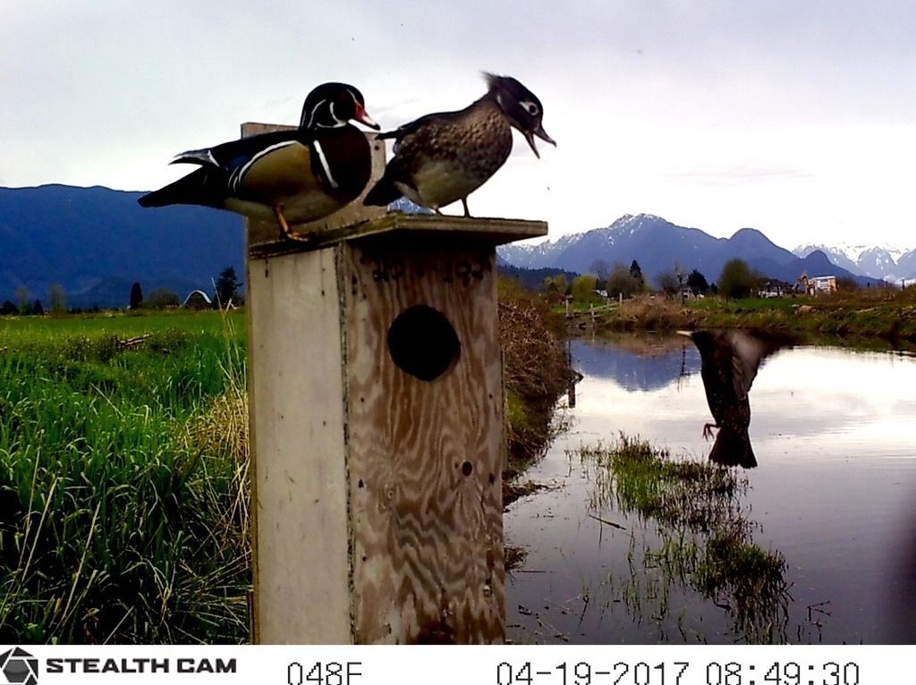 image_zpsjkkythg3.jpeg~original