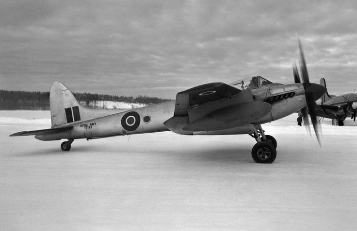 TT-193-in-snow..jpg