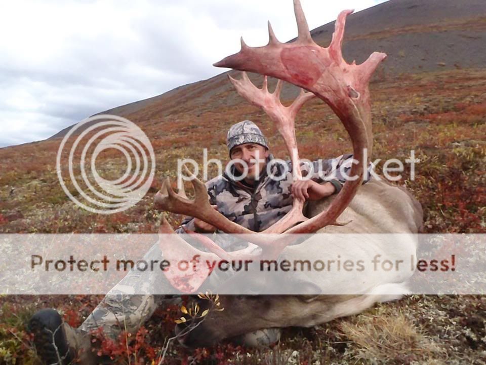 nwt4.jpg