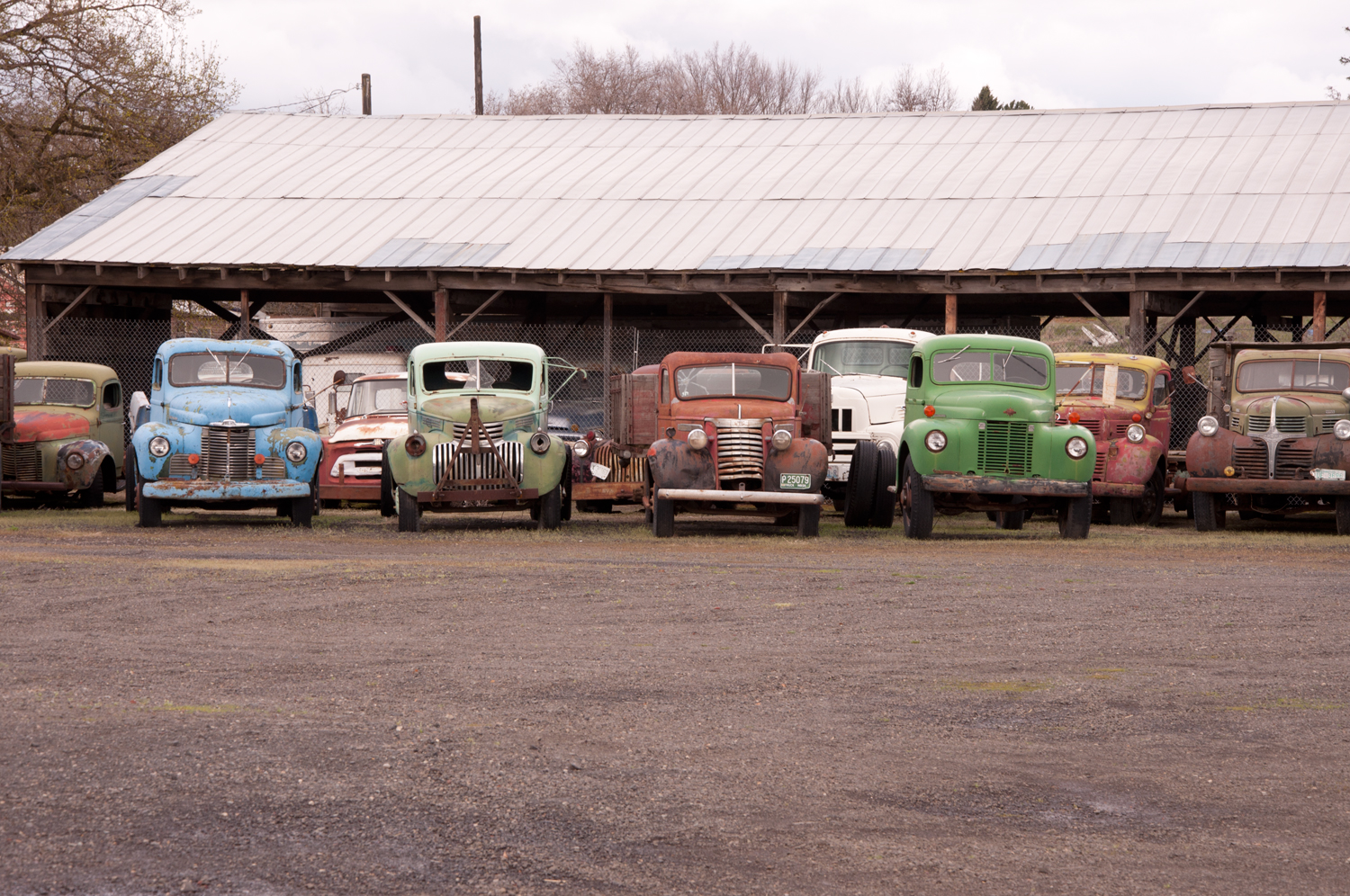 sprague-trucks-25_w.jpg
