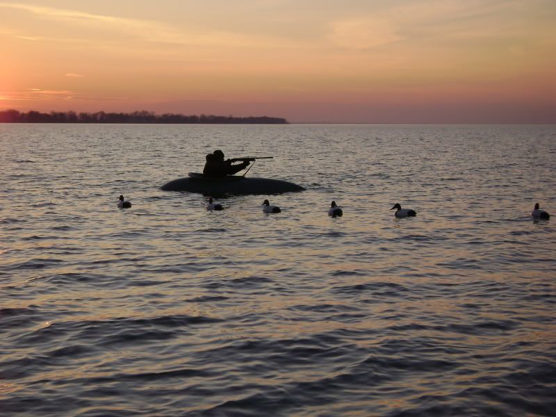 layoutatsunset.jpg