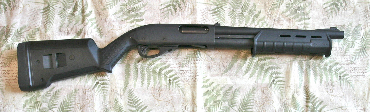 IMG-6737.jpg