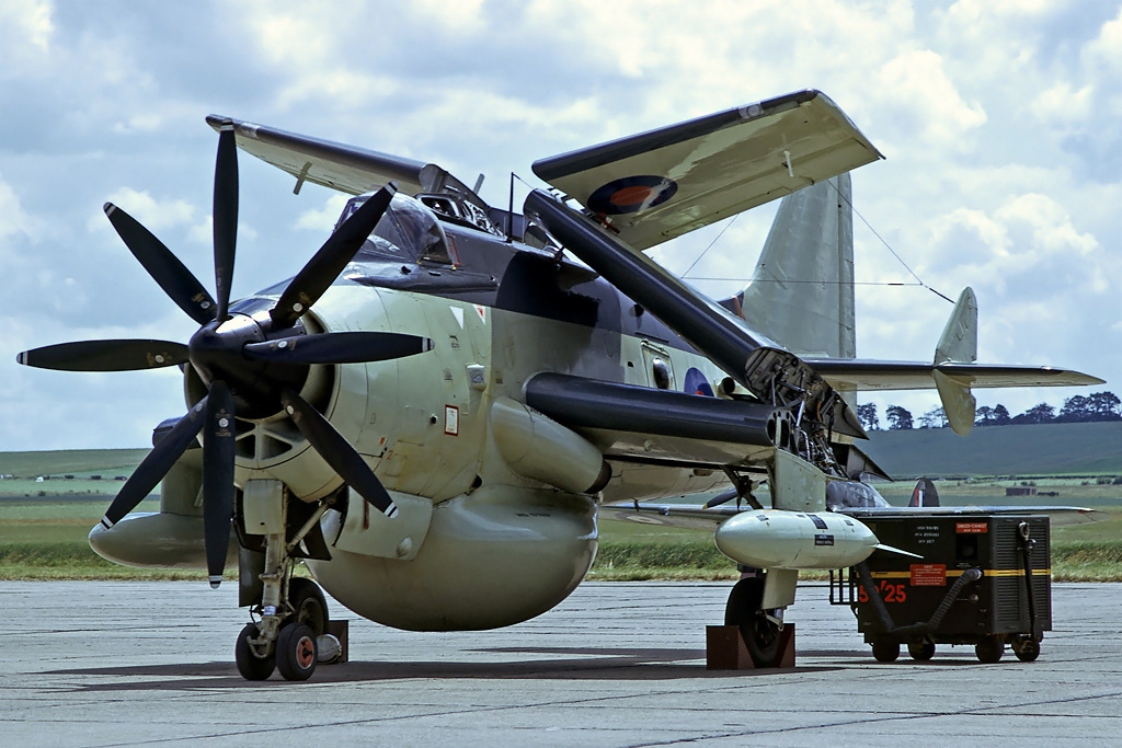 Fairey_Gannet_AEW3%2C_UK_-_Navy_AN1952247.jpg