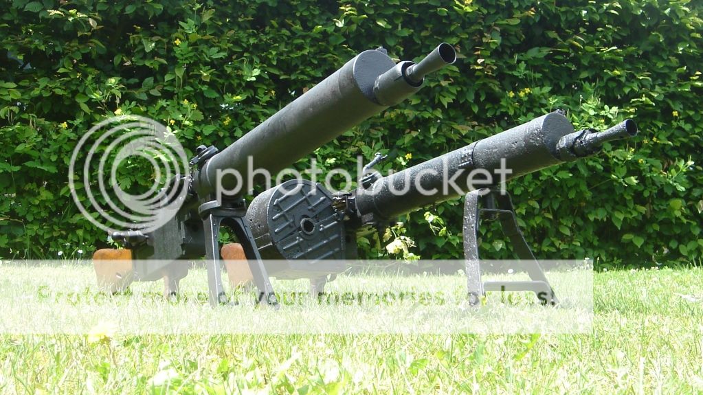 zz117.jpg