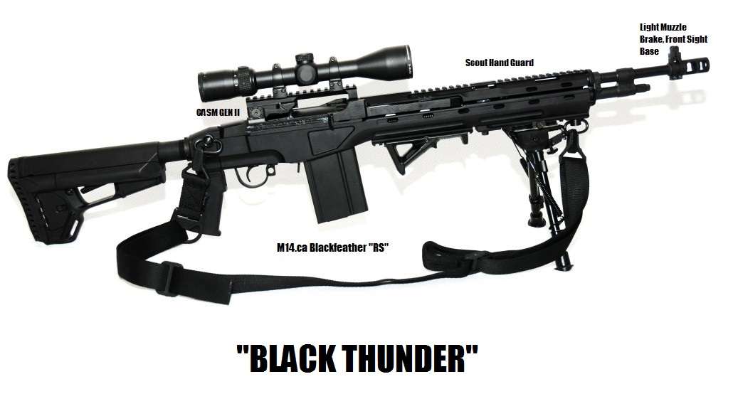 Daves_Blackfeather_RS.jpg