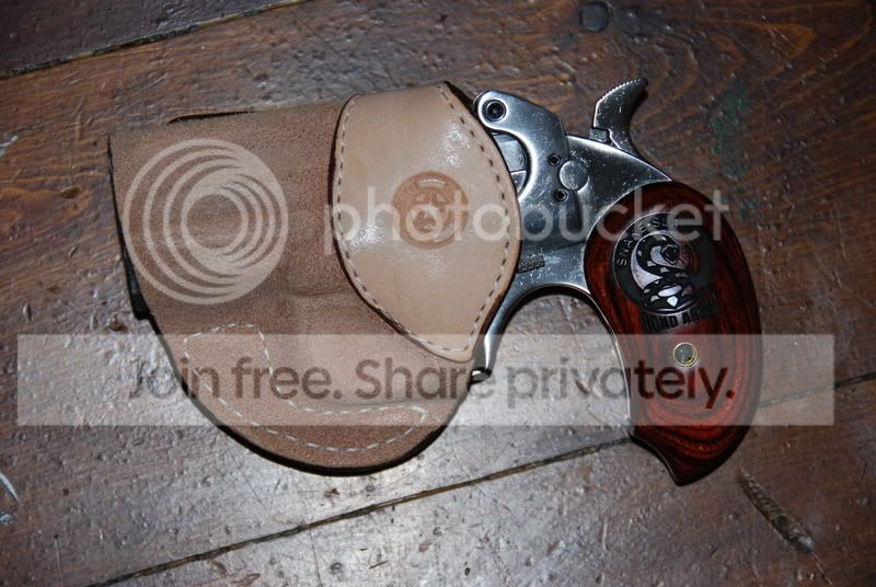 Guns08035.jpg