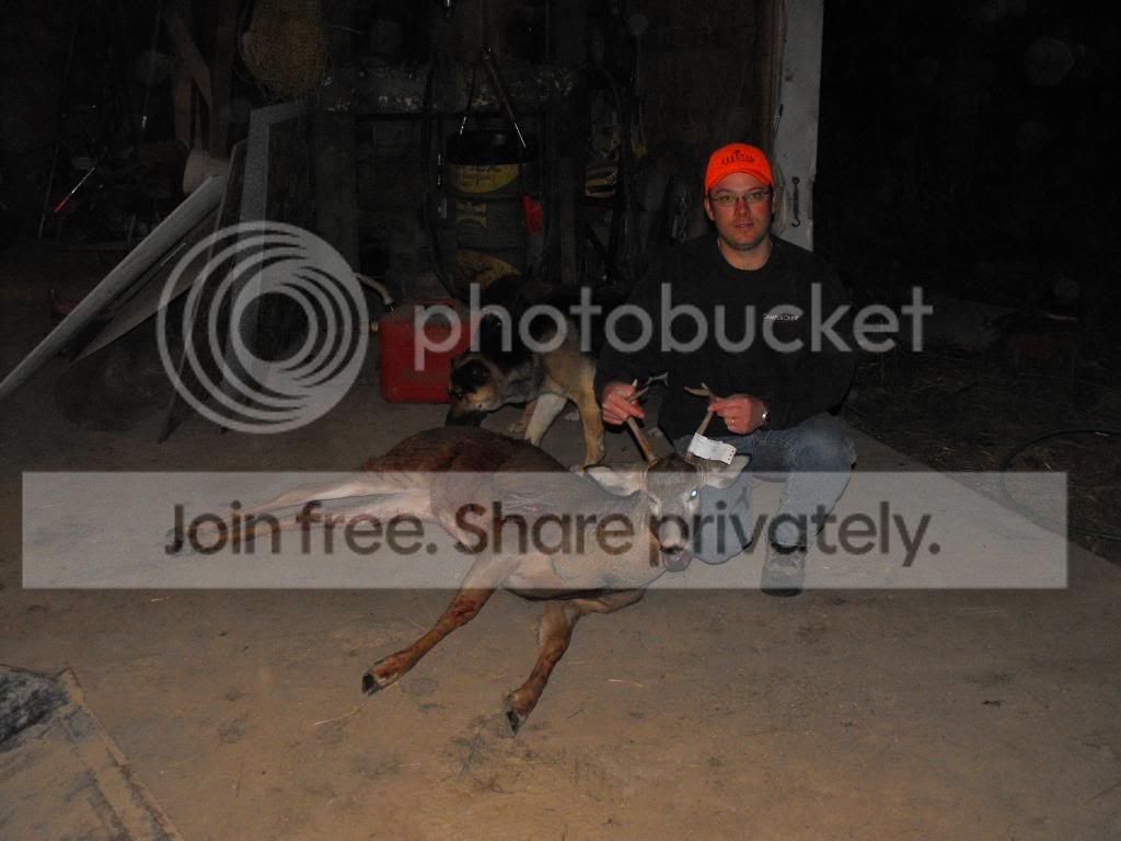 2009_1116deer0014.jpg