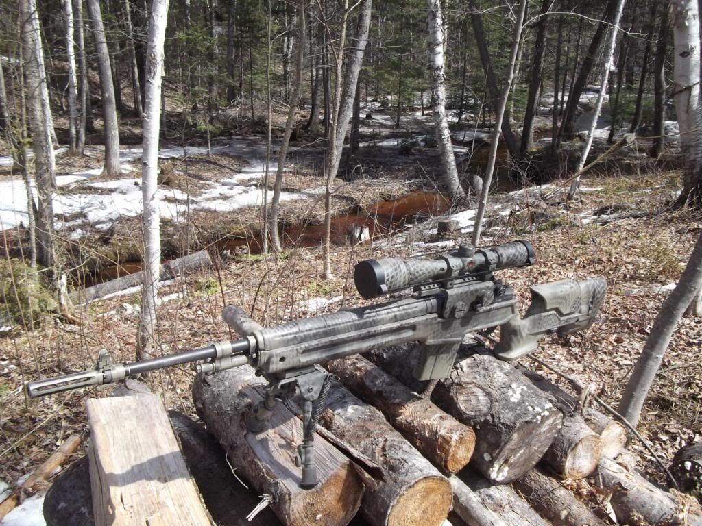 GUN_zps85905708.jpg