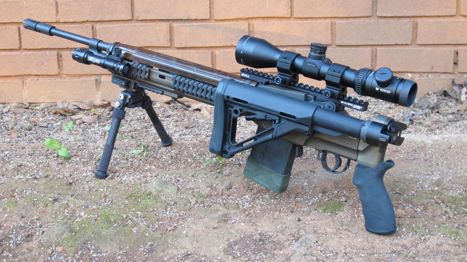 BF-RS.SFUa.JPG