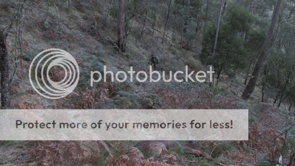 IMG_5911firstglance.jpg~original