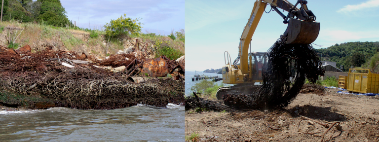 coast-clean-up-768x288.png